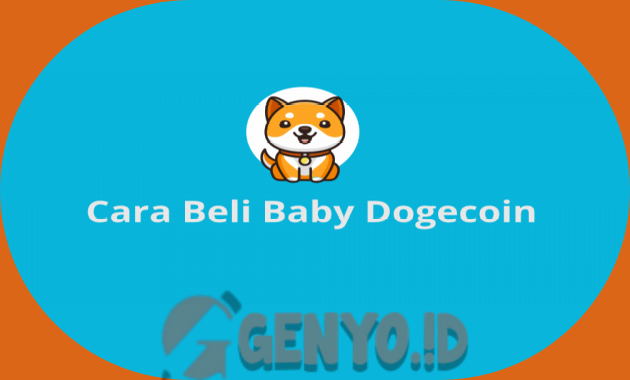 Cara Membeli Baby Doge Coin di Semua Platform